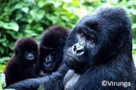 Une Civilisation Environnementale